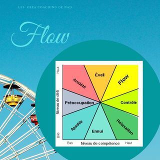 Flow, qu'est-ce que c'est?